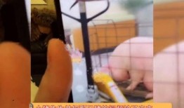 小猪夫妇爆料殷世航视频,揭秘背后惊人内幕